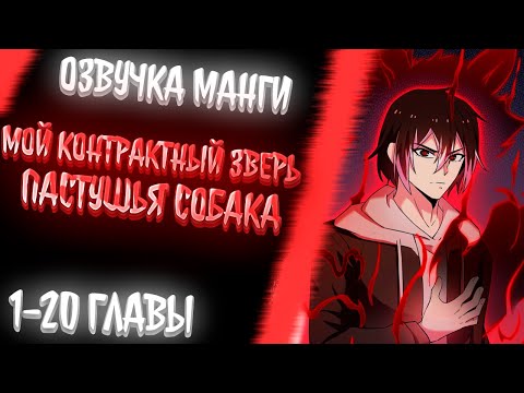 Видео: ОН ПОЛУЧИЛ СОБАКУ В ПИТОМЦЫ И ЕГО СЧИТАЛИ НЕУДАЧНИКОМ, НО ЭТО ОКАЗАЛОСЬ БОЖЕСТВО SSS РАНГА...