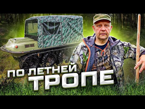 Видео: По летней таёжной тропе, рыбалка, ночёвка в избе.