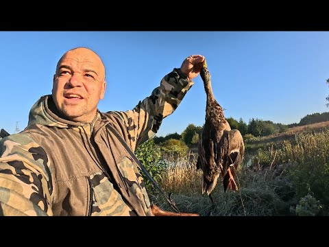 Видео: Утиная охота: Добыли, приготовили, насладились! Рецепт в печи. #охота #охотанаутку #утка #дичь 