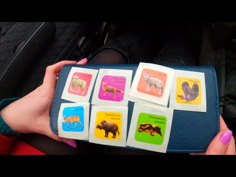 Видео: VLOG: Обменяли одну наклейку на три банки питания. 04.02.2020