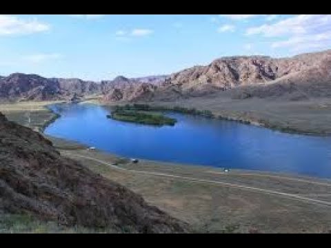 Видео: видео архив с прошлого года