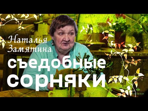 Видео: Съедобные дикорастущие травы. Наталья Замятина. Здоровое питание.