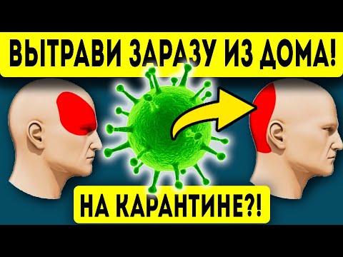 Видео: Карантин?! 99% людей не знают о МОЩИ этих масел! Дезинфекция дома, головная боль, кожа и не только!