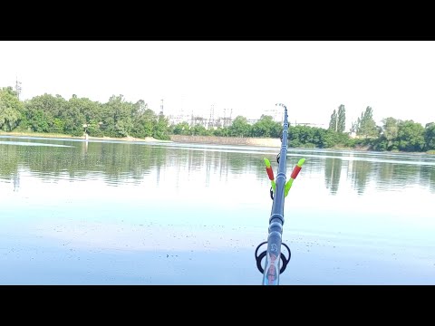Видео: Три дні рибалки💥 фідерок наловили рибки 🐟