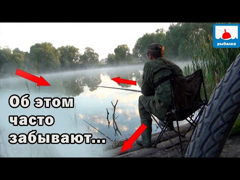 Видео: Важное правило на рыбалке, о котором часто забывают, особенно действует на карася - меня выручило!