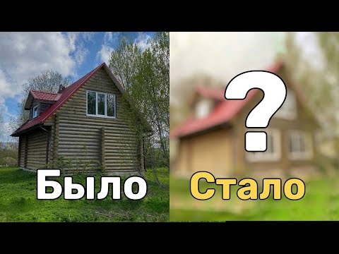 Видео: Купили дом в деревне!🏡 Новые окна,  сетка от грызунов и мусорные находки 🚯