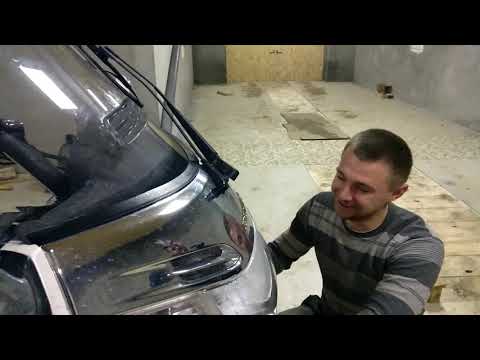 Видео: Попуасы и Голда