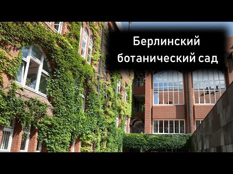 Видео: Берлин - ботанический сад | TRAVEL VLOG