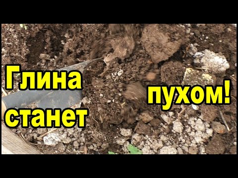 Видео: Глина станет как пух! Личный опыт как разрыхлить тяжелую почву.