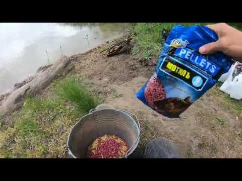 Видео: Рыбалка на Карачуновском водохранилище