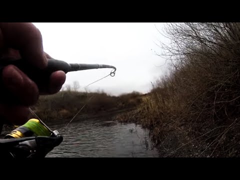 Видео: Заброс и сразу дикий удар!!Они трепали приманки !!!Рыбалка осенью !