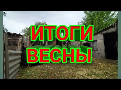 Видео: ИТОГИ ВЕСНЫ 2020 / ЖИЗНЬ В ДЕРЕВНЕ!!!