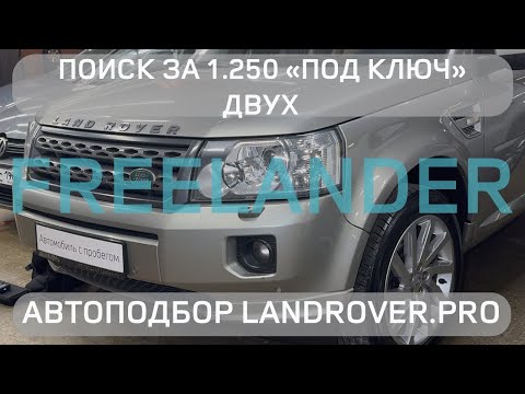 Видео: 👍🏻ДВА LAND ROVER FREELANDER 2 ПО 1.25🍋 «ПОД КЛЮЧ»! | ЧТО СЕГОДНЯ ПРОДАЮТ НА РЫНКЕ?! 4K 60FPS