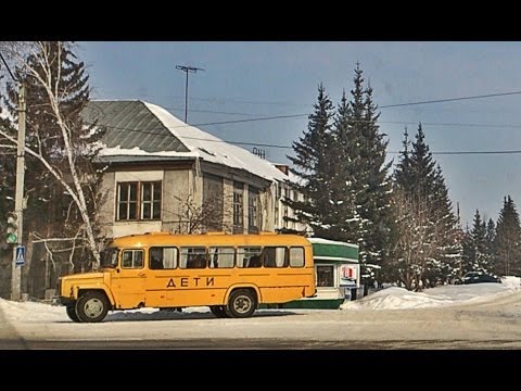 Видео: Тальменка проездом