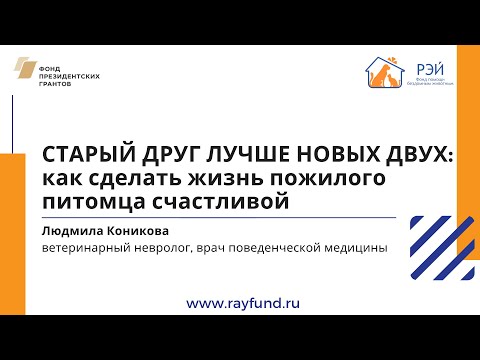 Видео: Старый друг лучше новых двух: как сделать жизнь пожилого питомца счастливой