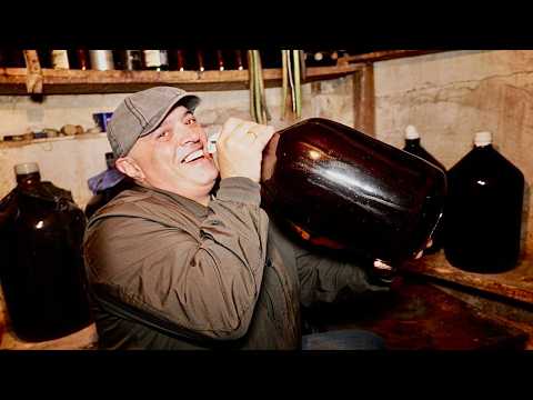 Видео: Домашнее ВИНО — Этому рецепту уже 1000 лет!