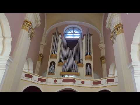 Видео: 18 марта 2025.  Фортепианый концерт г.Полоцкая ДШИ.