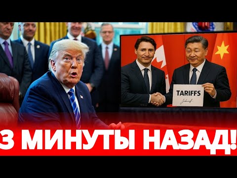Видео: Канада отвечает Трампу: вводит пошлины 500% и уничтожает миллион рабочих мест в США
