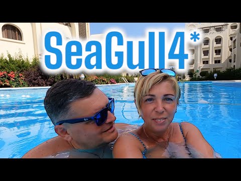 Видео: ЕГИПЕТ 🇪🇬. Лучший отель на Шератоне ? SeaGull Beach Resort 4* Влог из Египта. Хургада сейчас.