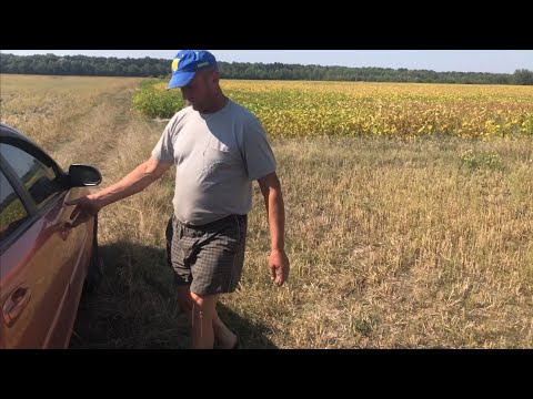 Видео: Купили нову машину! Соя вже на підході до збору врожаю