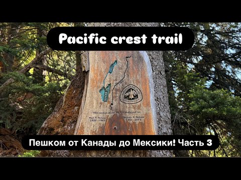 Видео: В одиночку по Америке🇺🇸! 4К! Пешком от Канады до Мексики! Pacific crest trail-часть 3