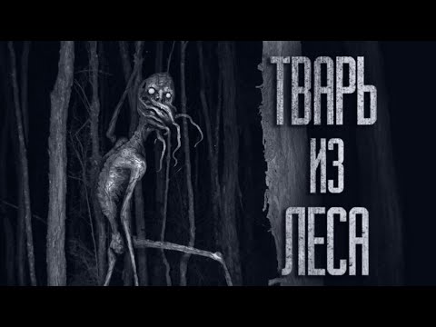 Видео: TBAPЬ ИЗ ЛЕСА... Страшные истории от Гробовщика