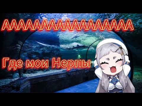 Видео: Рера и желание увидеть Нерп