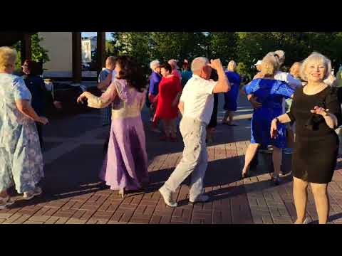 Видео: А я несу тебе цветы🌸🌺🌻🌹🌷🌼💐..... 24.05.24.