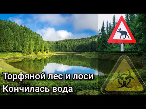 Видео: В поисках лесного озера Первая попытка 9 июня 2025 года