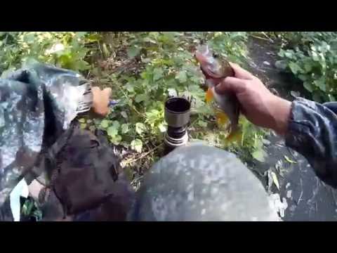 Видео: Воблеры ZIPBAITS RIGGE 35 and FOP 32 Ловля БЕЛОГО ХИЩНИКА!!!