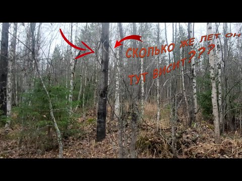 Видео: Металлокоп в лесу.Осиновый трос.Супер труба