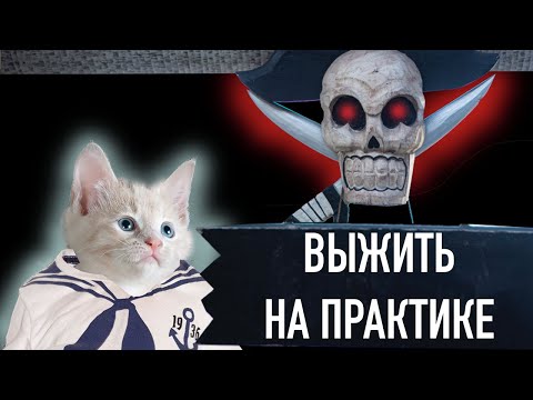 Видео: ТОП 10 🔥 шуток над молодыми на флоте 😅 #magellanseaman #кадет #розыгрыш