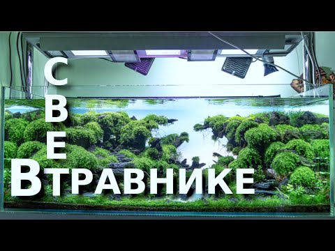 Видео: Свет в крутом аквариуме травнике + рекомендации