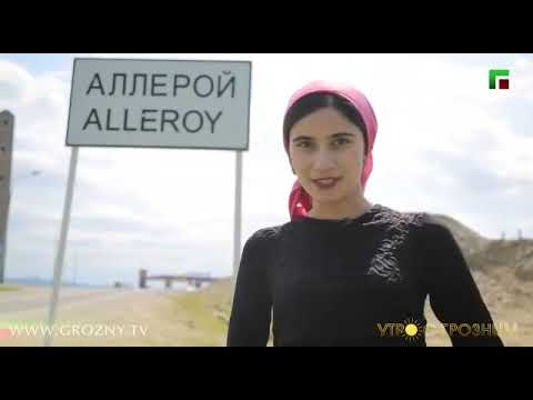 Видео: Утро с Аллерой