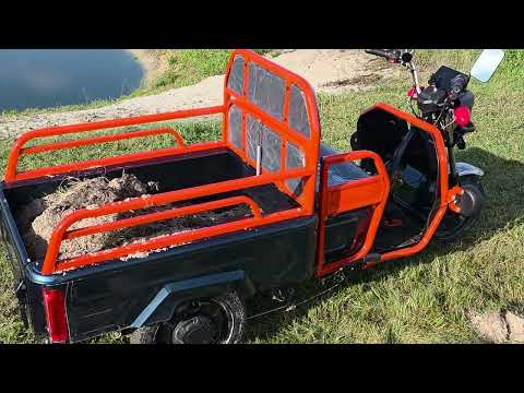 Видео: Forte мураха працює.