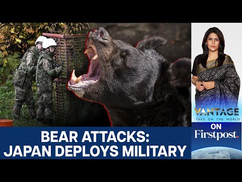 Видео: Япония разворачивает армию на фоне растущего числа смертоносных нападений медведей | Обзор с Палк...
