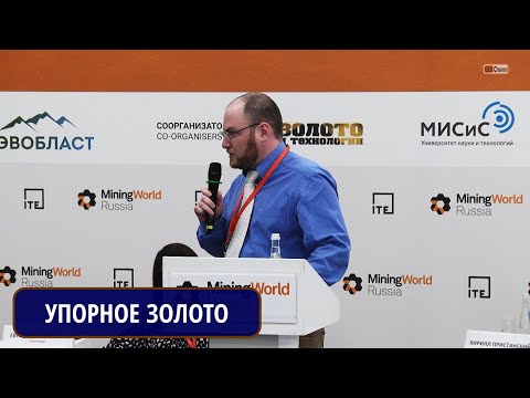 Видео: Некоторые аспекты переработки золотосодержащих концентратов, осложненных мышьяком. БИТКОВ Г.А.