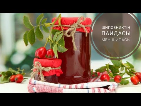 Видео: Аллергия кетіреді😱 имунитет көтереді.Шиповниктің пайдасы мен шипасы.