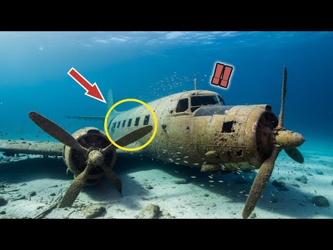 Видео: Они нашли самолет на дне моря. Но то, что было внутри, потрясло до глубины души