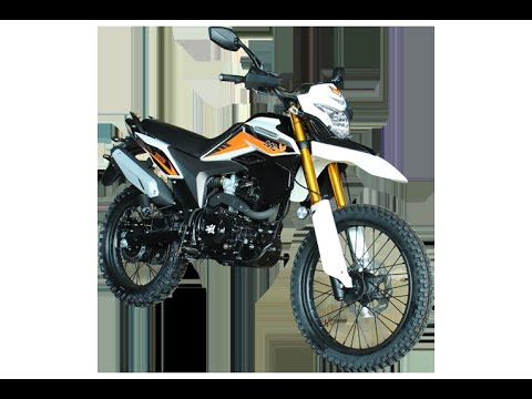 Видео: ZID 250 ЛИС, первые впечатления. #мотосообществоволгоград