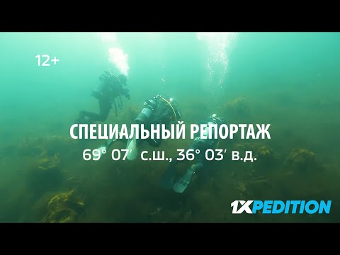 Видео: Дальние Зеленцы. Специальный репортаж.