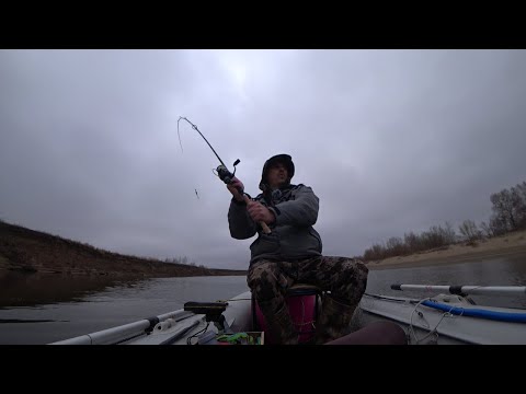 Видео: Ахтуба. Качели с уровнем воды продолжаются. Поиск судака.