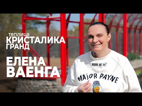 Видео: Елена Ваенга расскажет о двух теплицах КРИСТАЛИКА | Отзыв о теплицах GLASS HOUSE