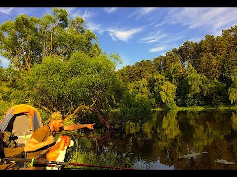 Видео: Рыбалка С Ночёвкой.Закидушки(Донки) Эх, Хвост-Чешуя, не Поймал я Ничего!)