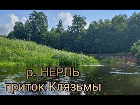 Видео: р. НЕРЛЬ (приток Клязьмы). Река с северным характером. Рыбалка на голавля.
