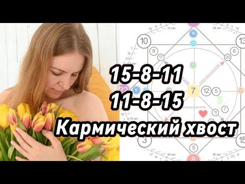 Видео: 15-8-11, 11-8-15 в Матрице Судьбы. "Физические страдания" кармический хвост. #матрицадуши
