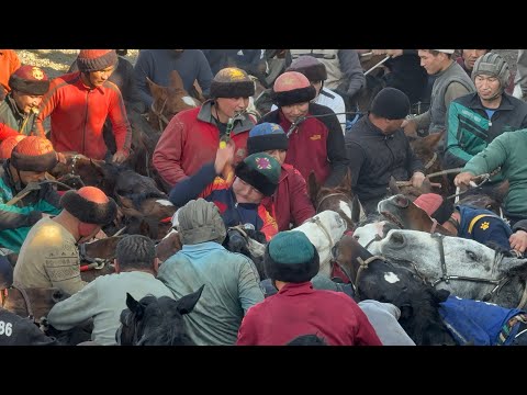 Видео: Аламан улак Кадамжай Кызыл коргон айыл