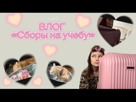 Видео: УЕЗЖАЮ🌧️/ собираемся  на учебу 🍎📚 