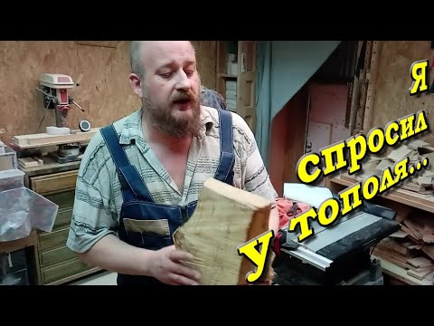 Видео: Достался мне пенек тополя.  И что делать?