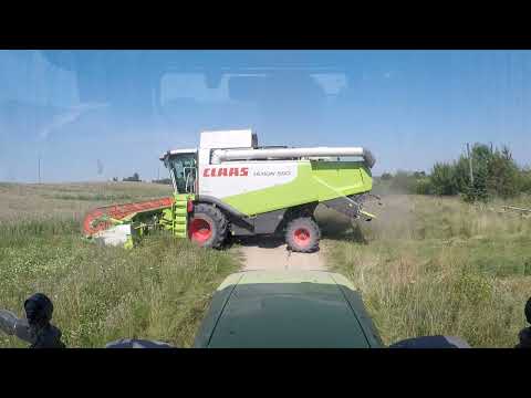 Видео: сбор зерновых продолжается